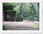 Dierentuin Burgers  Zoo 034 * 3648 x 2736 * (6.47MB)